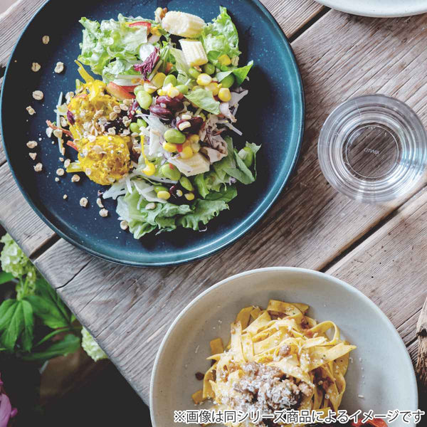 KINTO   Clk-151 160mm Black Plate Microwave Dishwasher Safe Durable 29536