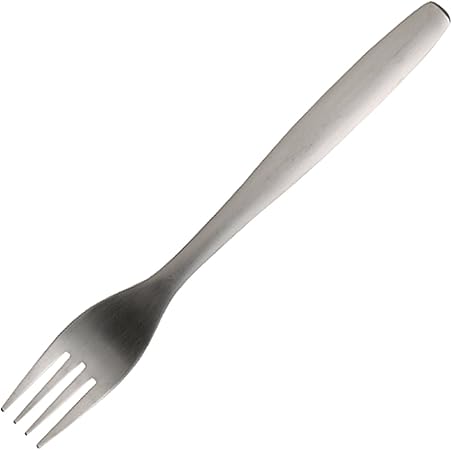 KINTO Hibi Fork 190mm 26883 Durable Stainless Steel Cutlery