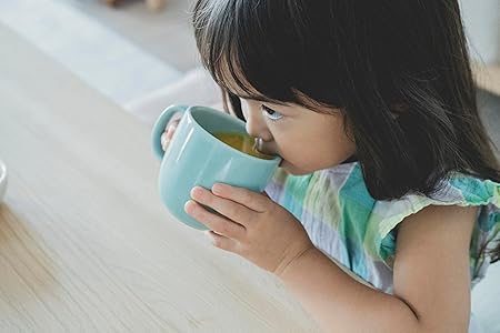 KINTO    Nest Plate Blue 195x145mm 20591 Durable and Stylish Dinnerware