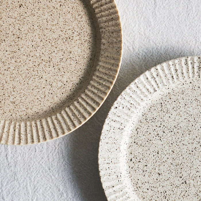 Aito Conti Earthen Texture Curry Pasta Plate 24cm Mino Ware Beige Japan