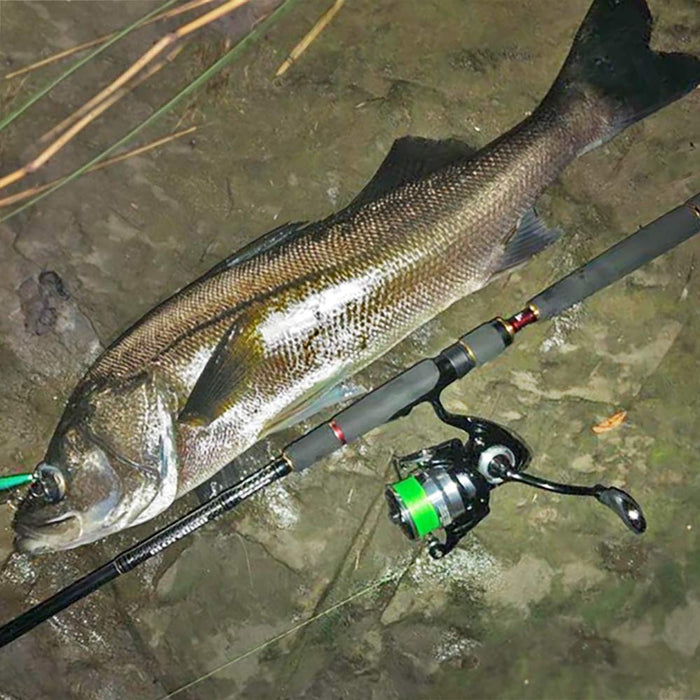 Daiwa 19 Regza LT5000D CXH 2019 Spinning Reel High Performance-Kiichin - The #1 Place for Japanese Goods in Your Hand!