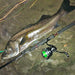 Daiwa 19 Regza LT5000D CXH 2019 Spinning Reel High Performance-Kiichin - The #1 Place for Japanese Goods in Your Hand!