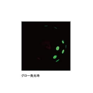 Gamakatsu Sakuragen Tai Rubber Q2 100G Double Red Sinker #21-Kiichin - The #1 Place for Japanese Goods in Your Hand!