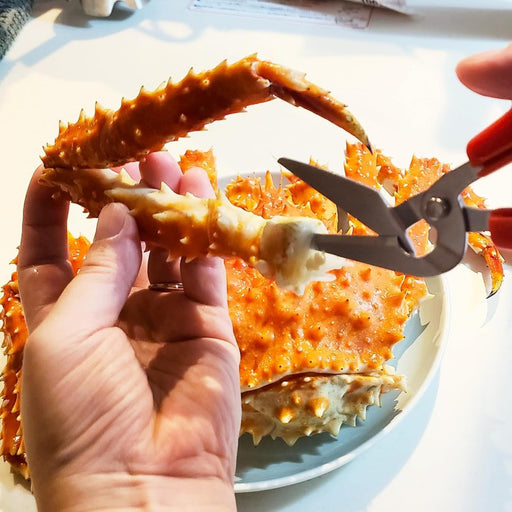 Hasegawa Knives - High-Quality Canary Crab Scissors Model CR-170-Kiichin - The #1 Place for Japanese Goods in Your Hand!