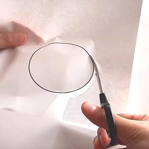 Hasegawa Knives Canary Extra Fine Design Bond-Free Curved Blade Scissors DSB-100C-Kiichin - The #1 Place for Japanese Goods in Your Hand!