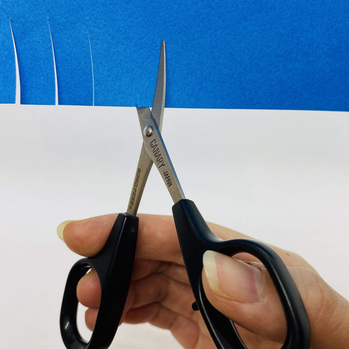 Hasegawa Knives Canary Extra Fine Design Bond-Free Curved Blade Scissors DSB-100C-Kiichin - The #1 Place for Japanese Goods in Your Hand!
