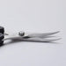 Hasegawa Knives Arm Wrestler Black Curved Blade Scissors Blade Length 3.7cm Total Length 16cm-Kiichin - The #1 Place for Japanese Goods in Your Hand!