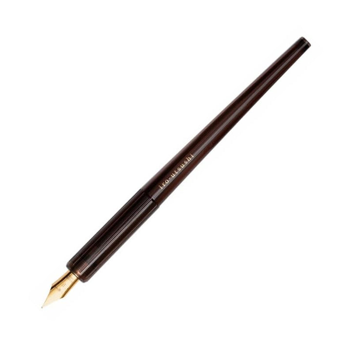 Pilot Iro-Utsusi Fountain Pen Spring Dawn Medium Nib Elegant Writing Tool