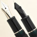 Platinum Pen 3776 Century Extra Fine Fountain Pen Rhodium Finish Laurel Green with Love Sticker-Kiichin - The #1 Place for Japanese Goods in Your Hand!
