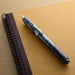 Platinum Curidas Extra Fine Knock Type Fountain Pen Graphite Smoke with Love Sticker-Kiichin - The #1 Place for Japanese Goods in Your Hand!