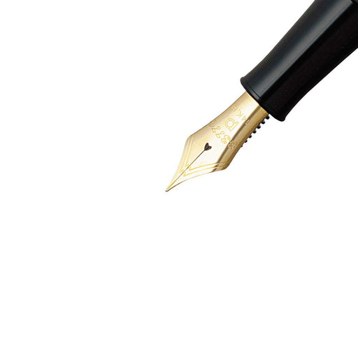 Platinum 3776 Century Kosuke Ginkgo Dual-Use Fountain Pen Bold B Nib Regular Imported-Kiichin - The #1 Place for Japanese Goods in Your Hand!