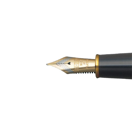Platinum Izumo Tetsutogi Gloss B Bold Fountain Pen Piz-50000T 21-4 Dual-Use-Kiichin - The #1 Place for Japanese Goods in Your Hand!