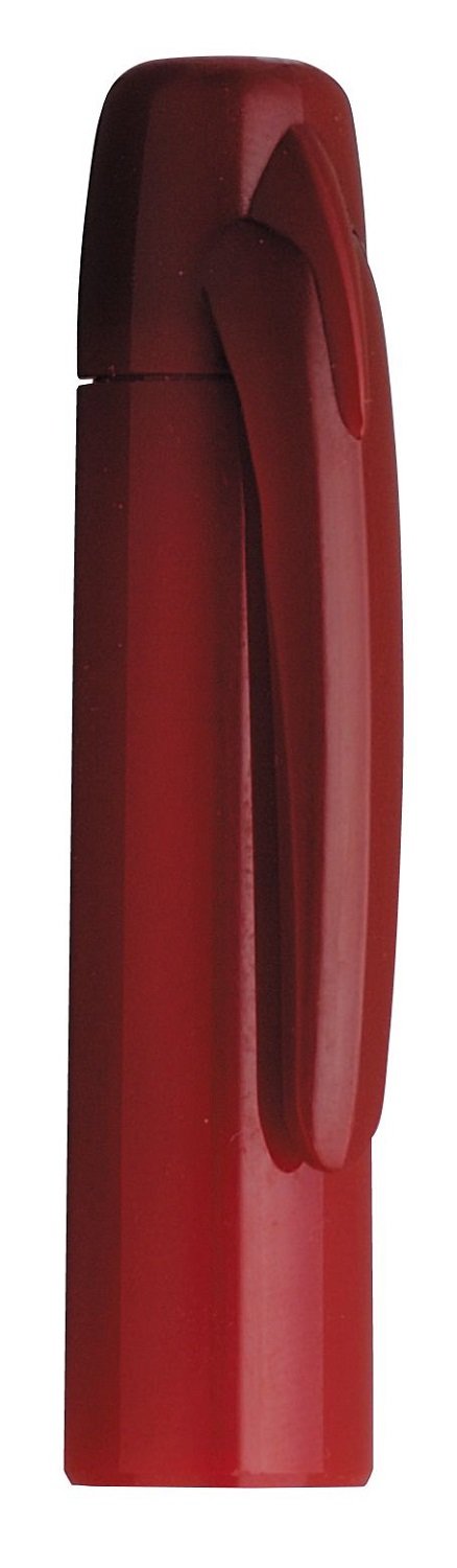 Platinum Fountain Pen Desk Set Red with Extra Fine Tip - Dpq-700A#10-1-Kiichin - The #1 Place for Japanese Goods in Your Hand!