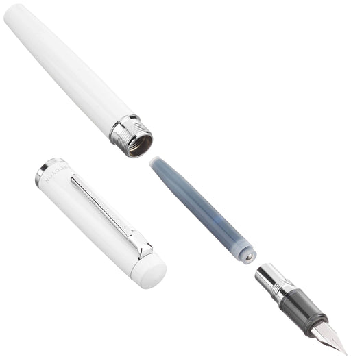 Platinum Niprocion White Porcelain Fountain Pen Medium Nib Dual-Use - PNS-5000-Kiichin - The #1 Place for Japanese Goods in Your Hand!