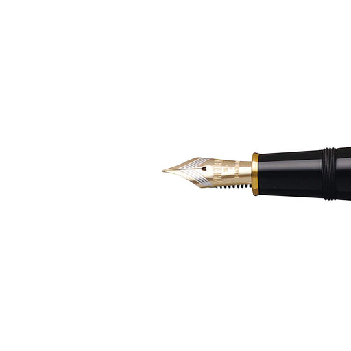 Platinum Fountain Pen Izumo Yakumo Paint Medium Point Dual-Use Regular Imported Piz-100000-Kiichin - The #1 Place for Japanese Goods in Your Hand!