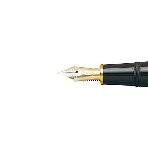Platinum Izumo Yakumo Painting Silver Line Fountain Pen Medium Point Piz-80000N 91-3 Dual-Use-Kiichin - The #1 Place for Japanese Goods in Your Hand!