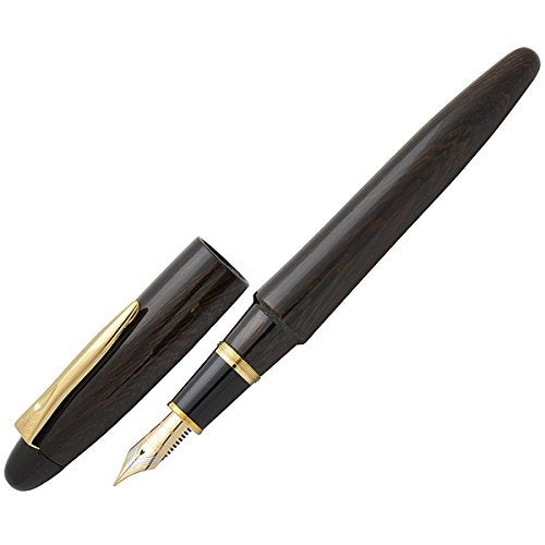 Medium Point Platinum Izumo Tetsutoki Fountain Pen by Platinum Fountain Pen-Kiichin - The #1 Place for Japanese Goods in Your Hand!