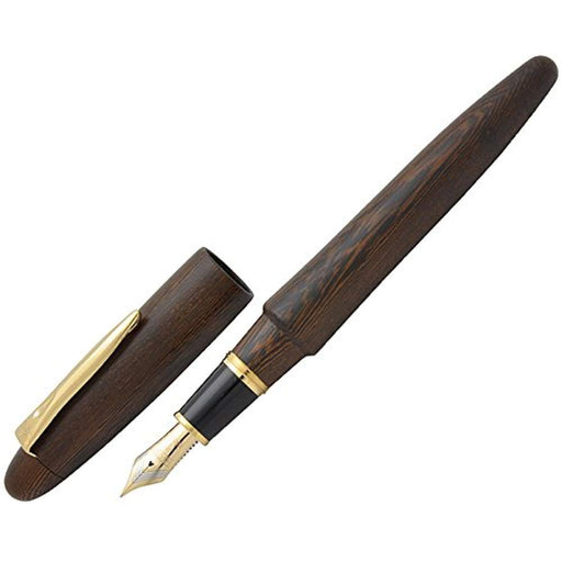 Platinum Izumo Tetsutoki Medium Point Fountain Pen Matt Tagayasan Finish PIZ-50000T#20-Kiichin - The #1 Place for Japanese Goods in Your Hand!