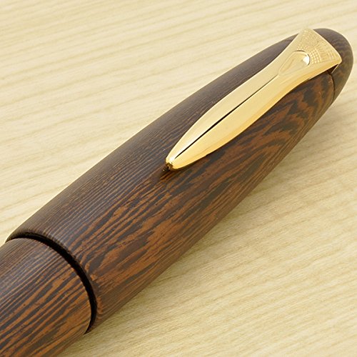Platinum Izumo Tetsutoki Medium Point Fountain Pen Matt Tagayasan Finish PIZ-50000T#20-Kiichin - The #1 Place for Japanese Goods in Your Hand!