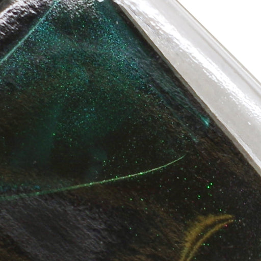 Sailor Fountain Pen Mellow Forest Shimmer Dip Ink Set with Hocoro Brush 10-0250-703-Kiichin - The #1 Place for Japanese Goods in Your Hand!