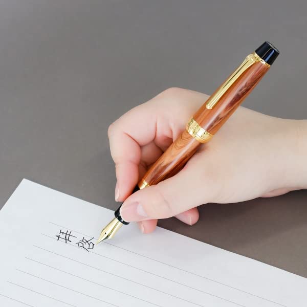 Sailor Fountain Pen Medium Point Limited Edition Hiroshima Factory Completion Commemorative Kaiduka Ibuki 10-8072-401-Kiichin - The #1 Place for Japanese Goods in Your Hand!