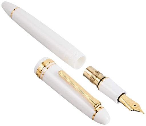 Sailor Profit 21 Fountain Pen - Extra Fine Tip in Classic White Model 11-2021-110-Kiichin - The #1 Place for Japanese Goods in Your Hand!