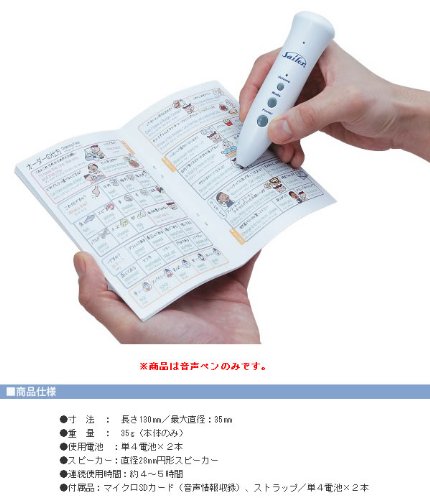 Sailor Voice Ap-1 Fountain Pen - Elegant Writing Instrument by Sailor-Kiichin - The #1 Place for Japanese Goods in Your Hand!