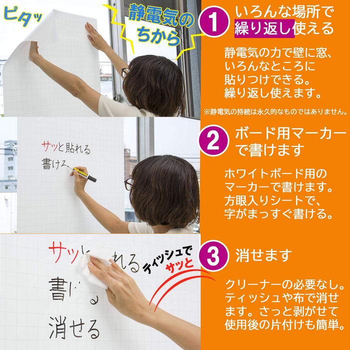 Sailor Fountain Pen Whiteboard Sheet Graph-Enabled 31-3803-000 Model-Kiichin - The #1 Place for Japanese Goods in Your Hand!