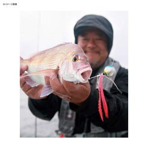 Shimano Engetsu Fish Attracting Tie Squid Octopus Keimura Ole G Lame Ew-004N-Kiichin - The #1 Place for Japanese Goods in Your Hand!