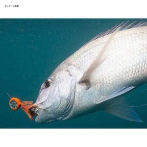 Shimano Engetsu Bakubaku Trailer Metal Jig Ew-204R 5 Pieces Skyfish Chart Glow-Kiichin - The #1 Place for Japanese Goods in Your Hand!