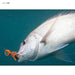 Shimano Engetsu Bakubaku Trailer Metal Jig Ew-204R 5 Pieces Skyfish Chart Glow-Kiichin - The #1 Place for Japanese Goods in Your Hand!