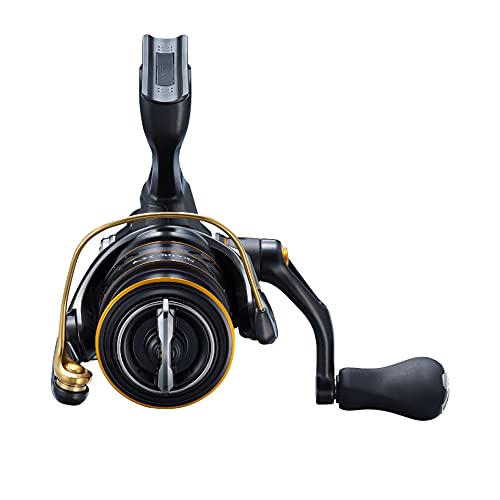Shimano Soare XR C2000Sshg Spinning Reel for Ajing and Mebaring Fishing-Kiichin - The #1 Place for Japanese Goods in Your Hand!