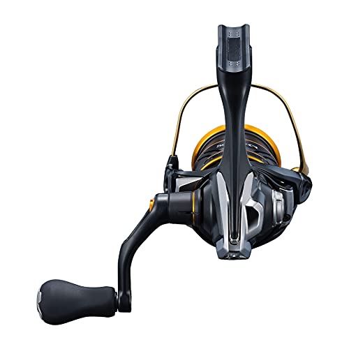 Shimano Soare XR C2000Sshg Spinning Reel for Ajing and Mebaring Fishing-Kiichin - The #1 Place for Japanese Goods in Your Hand!