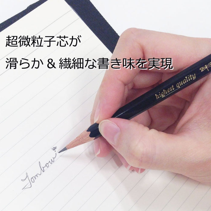 Tombow Mono 100 F Pencil Pack - Designed for Precision 1 Dozen-Kiichin - The #1 Place for Japanese Goods in Your Hand!