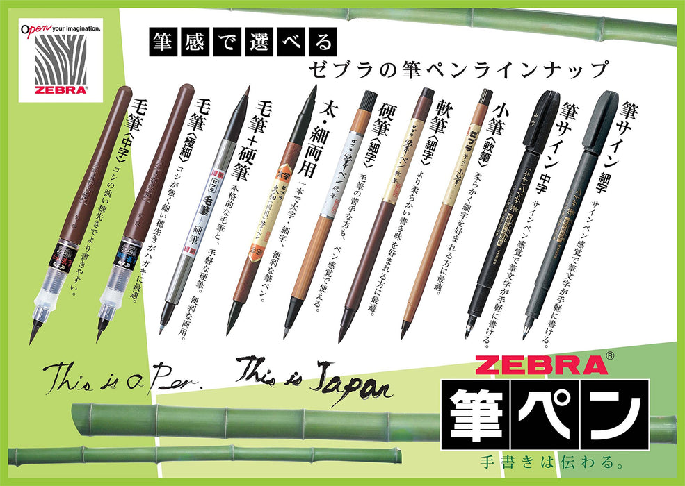 Zebra Dual Use Brush Pen Thick and Thin Tips Fd-501 Model-Kiichin - The #1 Place for Japanese Goods in Your Hand!