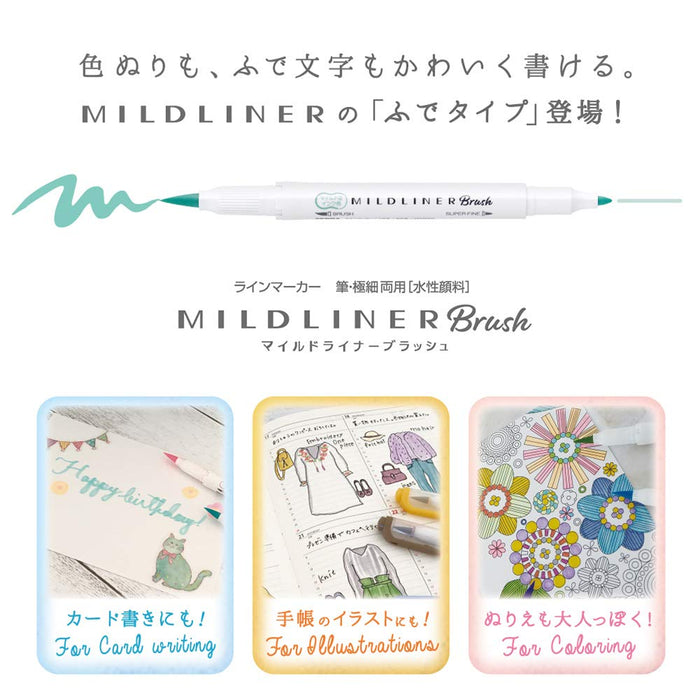 Zebra Mild Liner Highlighter Set Blush Astringent 5 Mild Colors Wft8-5C-Nc-Kiichin - The #1 Place for Japanese Goods in Your Hand!