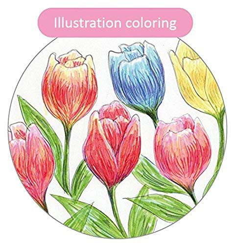 Zebra Mild Liner - High-Quality Zebra Brand Highlighter-Kiichin - The #1 Place for Japanese Goods in Your Hand!