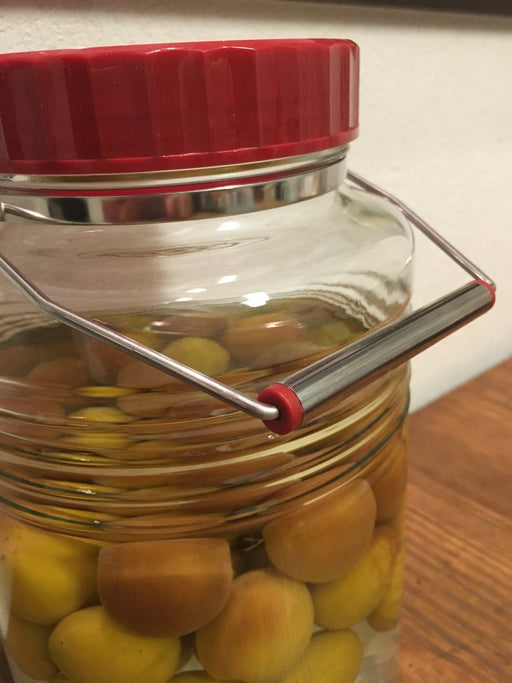 Aderia 4L Plum Bottle - Vintage Japanese Storage Jar with Ladle for Rice Wine, Fruit Sake, and Coffee Beans-Kiichin - The #1 Place for Japanese Goods in Your Hand!