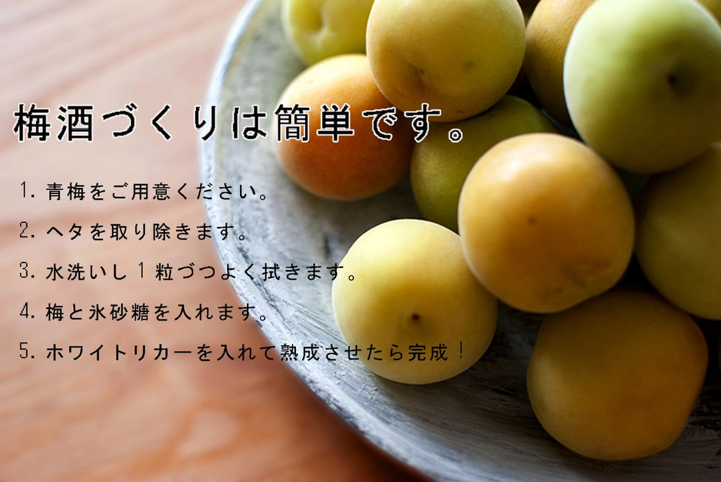 Aderia 4L Plum Bottle - Vintage Japanese Storage Jar with Ladle for Rice Wine, Fruit Sake, and Coffee Beans-Kiichin - The #1 Place for Japanese Goods in Your Hand!