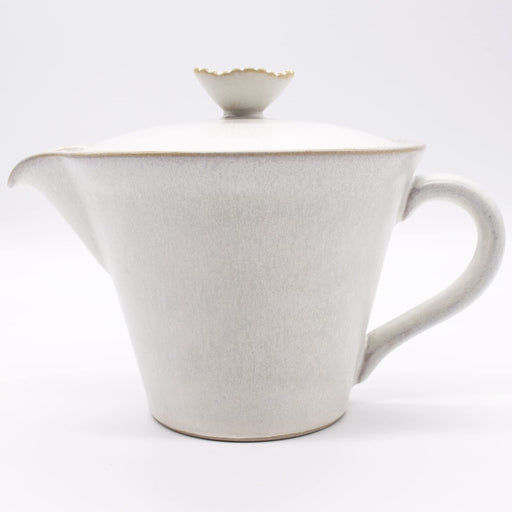 Aito Hana Teapot 280ml Ginkaku Setoyaki Japan 288473-Kiichin - The #1 Place for Japanese Goods in Your Hand!