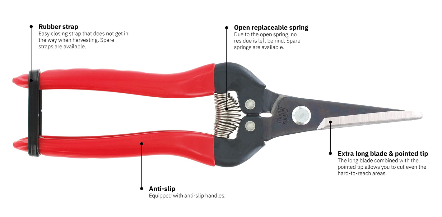 Ars Corp Fruit Thinning Shears L 300L (Boxed)-Kiichin - The #1 Place for Japanese Goods in Your Hand!
