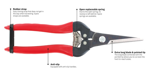 Ars Corp Fruit Thinning Shears L 300L (Boxed)-Kiichin - The #1 Place for Japanese Goods in Your Hand!