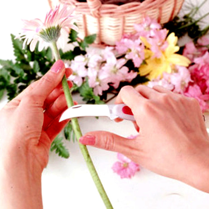 Ars Florist Knife FN-6M-R-BP Curved Blade-Kiichin - The #1 Place for Japanese Goods in Your Hand!