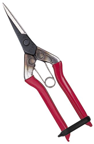 Chikamasa T-551 Bud Cutting Scissors 50x185x17mm-Kiichin - The #1 Place for Japanese Goods in Your Hand!