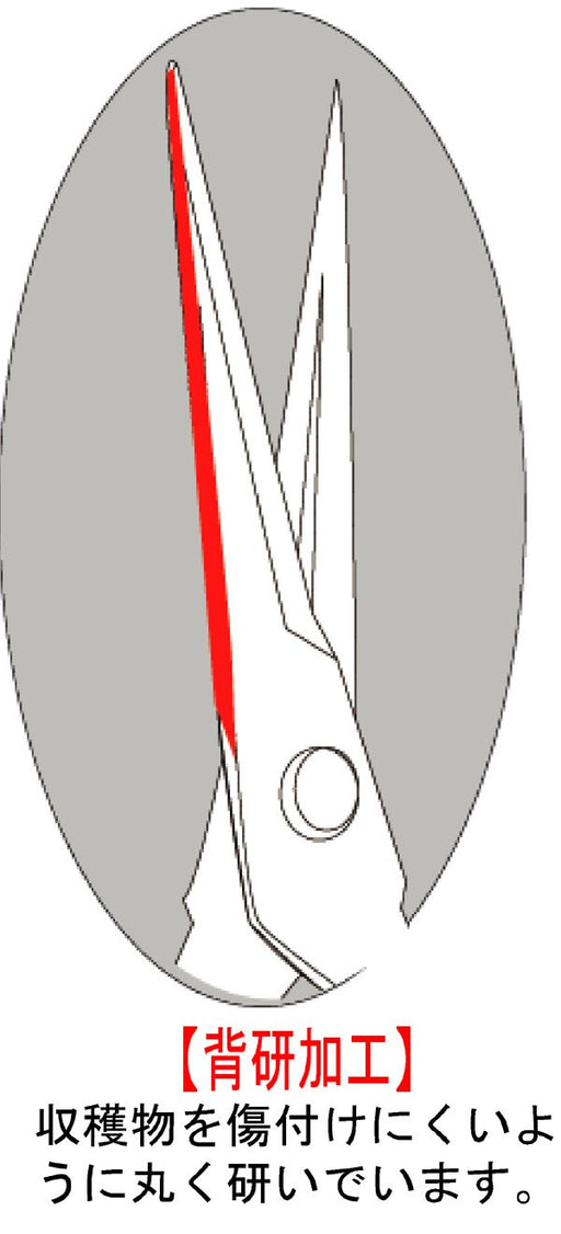 Chikamasa T-551 Bud Cutting Scissors 50x185x17mm-Kiichin - The #1 Place for Japanese Goods in Your Hand!