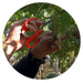 Chikamasa B-300S Professional Grape Shears 155mm-Kiichin - The #1 Place for Japanese Goods in Your Hand!