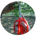 Chikamasa B-300S Professional Grape Shears 155mm-Kiichin - The #1 Place for Japanese Goods in Your Hand!