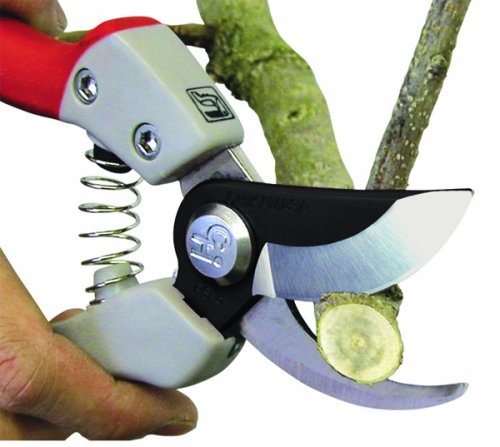Chikamasa Pruning Shears 8+Set PSB8G+Cs Case-Kiichin - The #1 Place for Japanese Goods in Your Hand!
