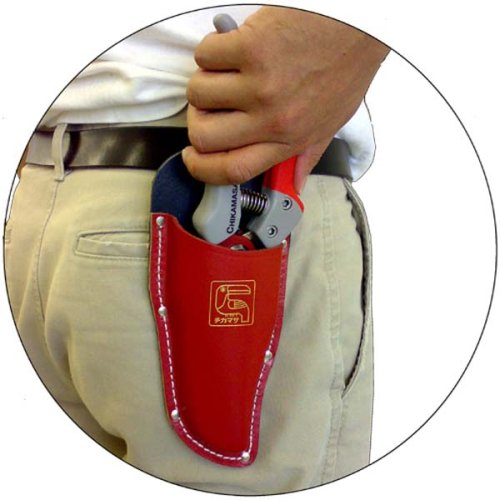 Chikamasa Pruning Shears 8+Set PSB8G+Cs Case-Kiichin - The #1 Place for Japanese Goods in Your Hand!