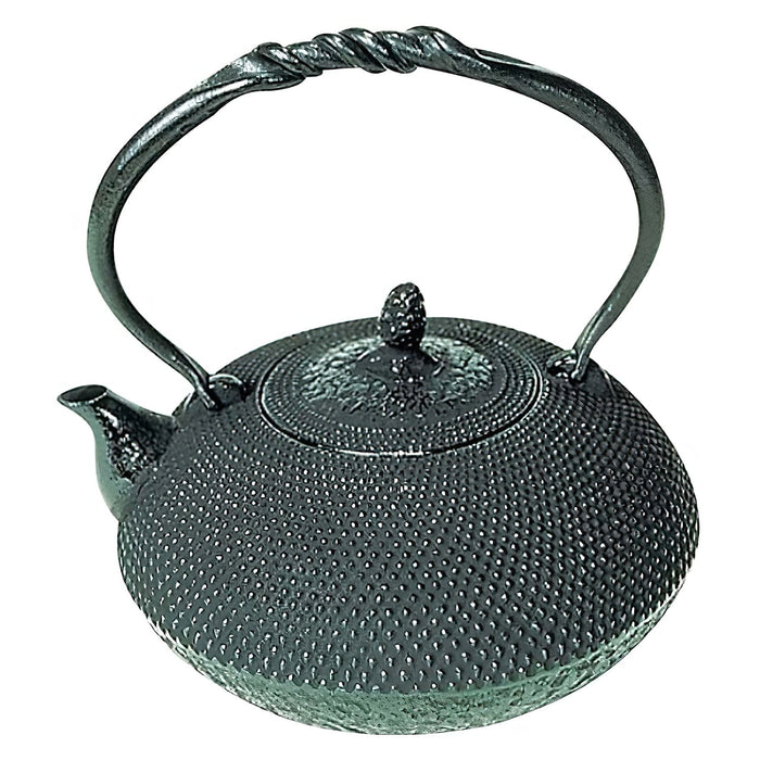 Goshin Cast Iron Tetsubin Kettle Arare - Premium Quality Tea Pot-Kiichin - The #1 Place for Japanese Goods in Your Hand!